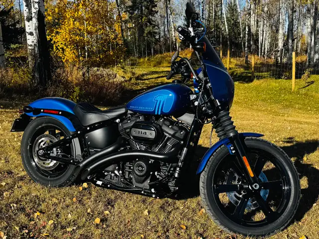 2024 Harley Davidson Street Bob in Street, Cruisers & Choppers in Red Deer - Image 2