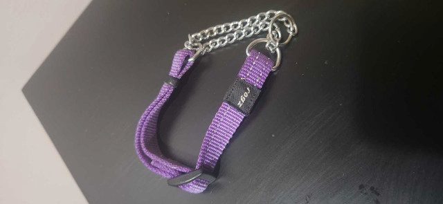 Dog collars  in Accessories in Muskoka - Image 3