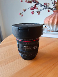 Canon EF 8-15mm f/4.0L USM Fisheye Zoom