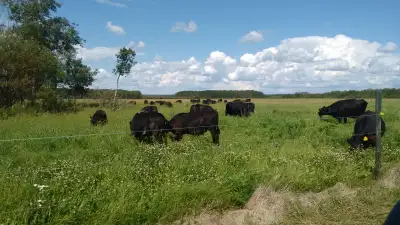 Airport Rd land suitable for grazing, grain farming or residential development. 100% deeded land. Le...