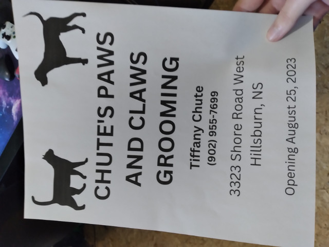 Dog and cat grooming in Animal & Pet Services in Annapolis Valley