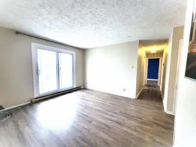 Big & sunny, 4 1/2, near metro Cadillac, appliances provided