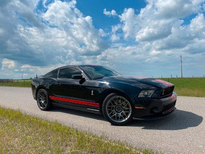 2012 Shelby GT 500