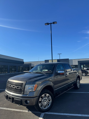 2010 Ford F 150 platinum 
