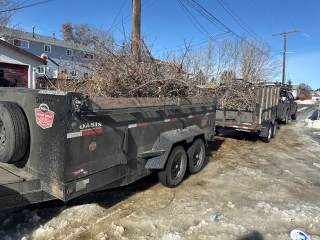 Junk Removal-Spring Clean up414906059882516480