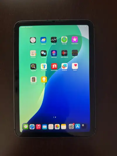 ipad (mini 6 cellular), View more