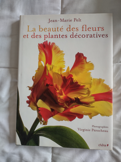 LA BEAUTÉ DES PLANTES ET FLEURS DECORATIVES, View more