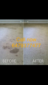 CARPET cleaning in GTA&MOVE in-MOVE out Cleaning services(