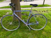 Large adult road bike (28inch wheels)