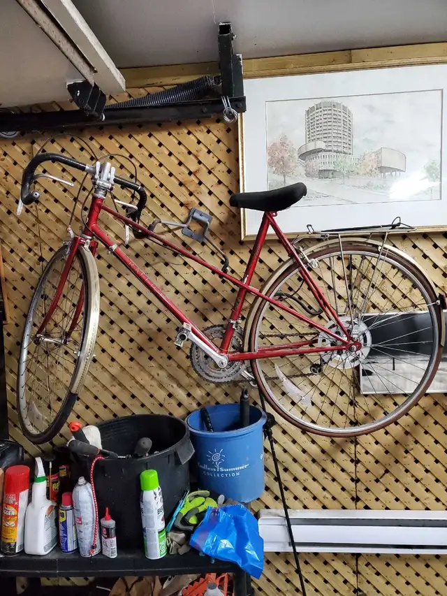 Vintage 1980 Raleigh bicycle 