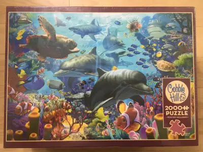 Casse-têtes / Puzzles (5 CT) – 2000@2500 pièces (II), View more