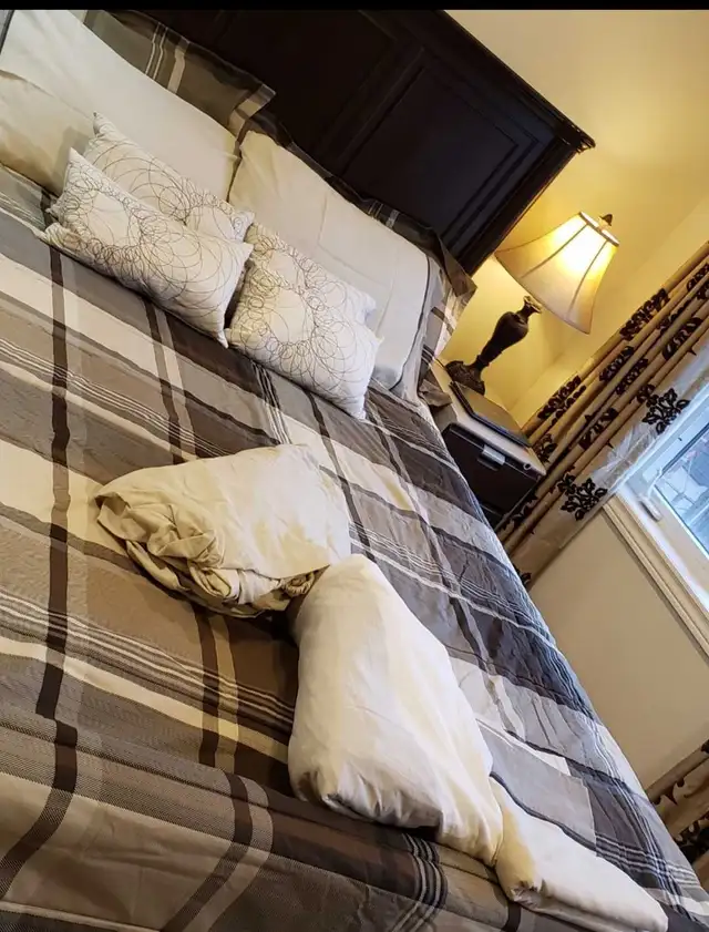 100%Cotton Queen size comforter/duvet with sheets and pillow cas in Bedding in Peterborough - Image 5