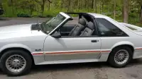 1987 - 1988 Mustang T-Top WTB