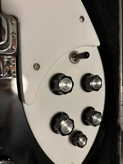 Rickenbacker 330, View more