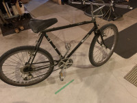 Renegade Sierra Men's Mountain Bike