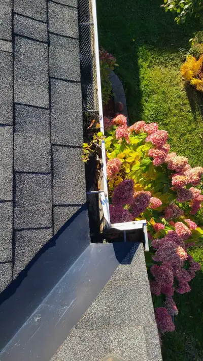 Gutter INSTALLATION  and Cleaning service!, View more