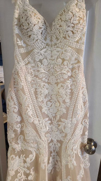 Enzoani wedding dress + cathedral veil