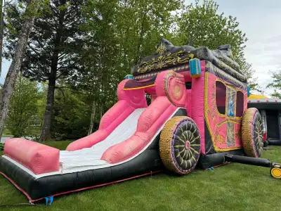 Selling items from my inflatables business. 1 smaller bouncer, 1 large combo bouncer, Snow cone mach...