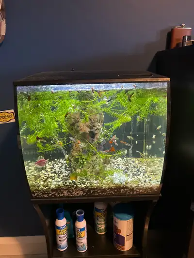 fish aquarium, View more