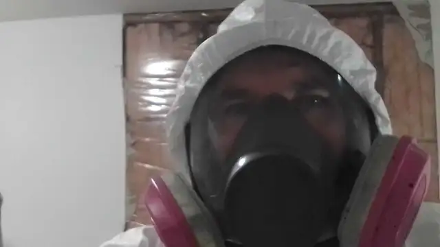 24/ 7 Mold Removal566985241386045443