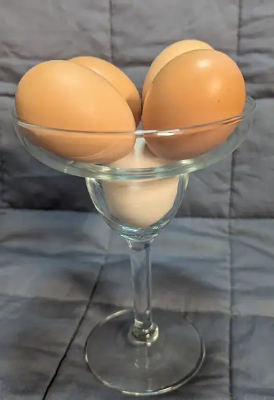 Farm fresh eggs!!!, View more