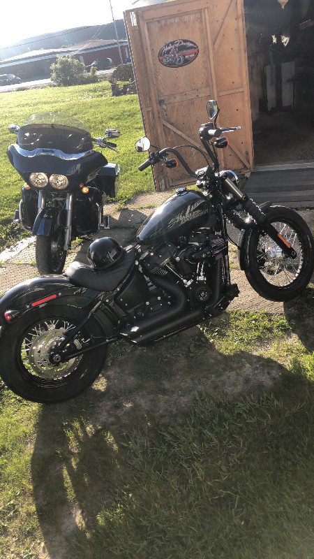 2019 Harley Davidson Street Bob in Street, Cruisers & Choppers in St. John's - Image 3