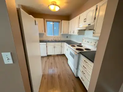 Bright & Cozy 2 Bed, 2 Bath Condo