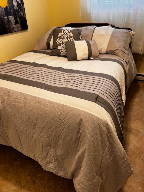 QUEEN SIZE COMFORTER & THROW PILLOWS in Bedding in Sudbury - Image 2