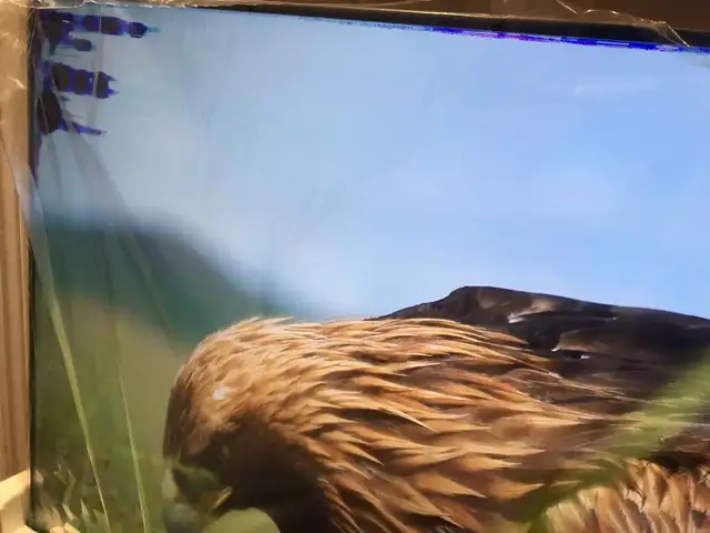 Android Sony 75-inch 4K UHD HDR LED Smart TV (XBR75X950H) in TVs in Mississauga / Peel Region - Image 5