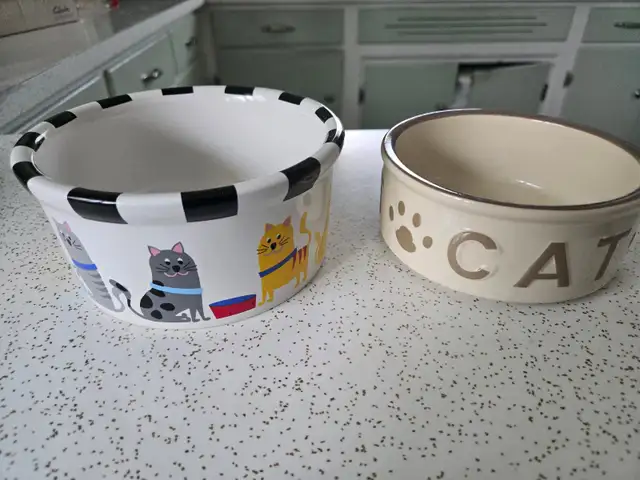 Four (4) Cat Coasters & Two (2) Cat Bowls in Other in Edmonton - Image 6