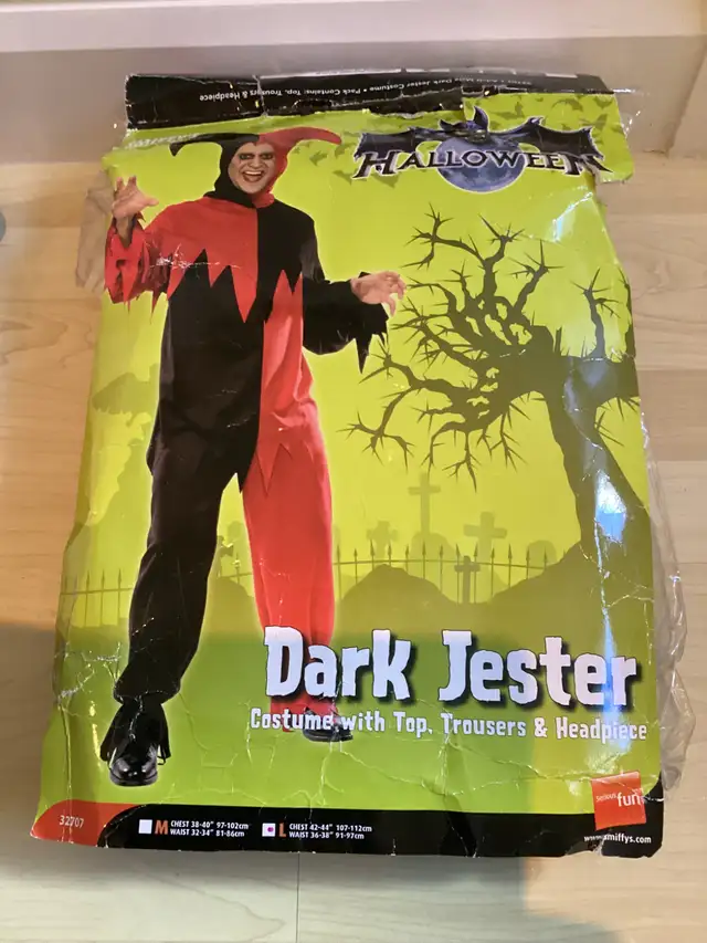 Halloween Costume
