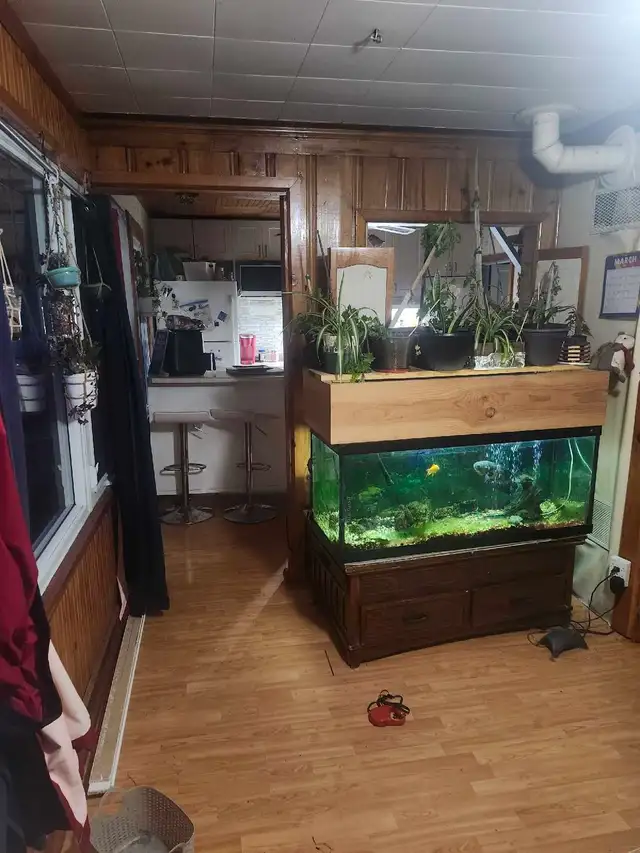 small furnished room for rent in Room Rentals & Roommates in Belleville - Image 3
