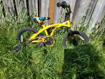 14" bike in very good condition