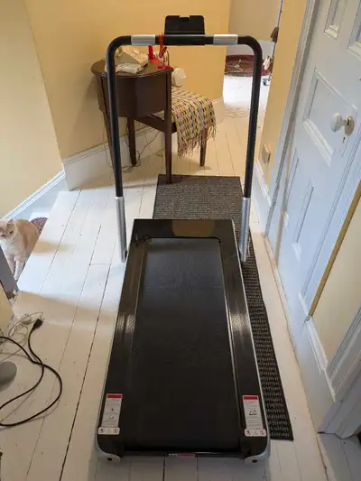 Walking Treadmill. Max speed 12 kph. No incline. Folds for storage, wheels on one end. Comes with re...
