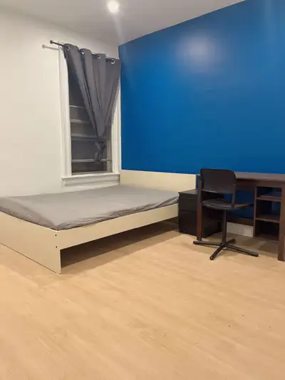 new renovated fashion 1 bedroom with bathroom close to College & Ossington . available May 1st, AAA...