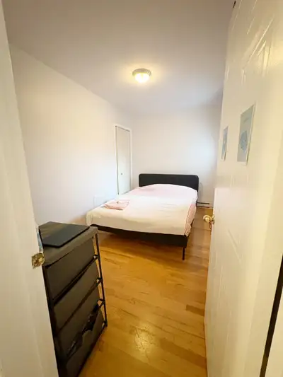 Recherche coloc pour fin décembre. Préférence femme, étudiante ou jeune professionnelle. Doit aimer...