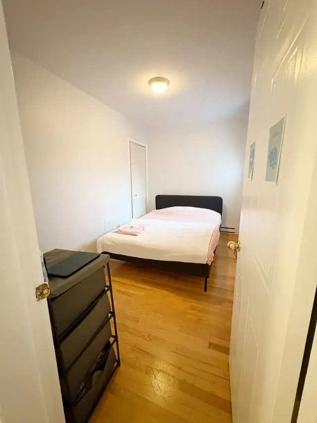 Recherche Coloc in Room Rentals & Roommates in City of Montréal - Image 2