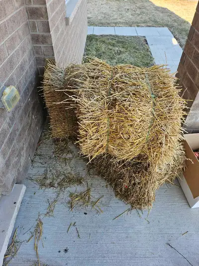 Free Staw Bales, View more