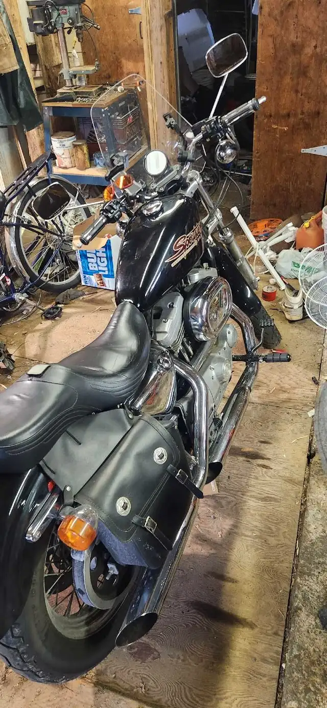 2001 sportster 883 in Street, Cruisers & Choppers in Brockville - Image 2