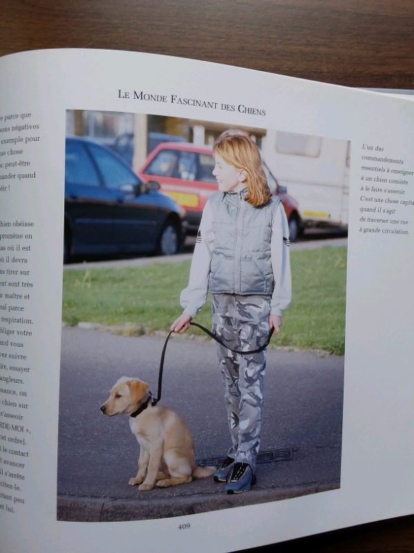 LIVRE L'ESSENTIEL DES CHIENS in Accessories in Lanaudière - Image 5