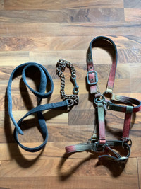 Various horse tack / equipements divers 