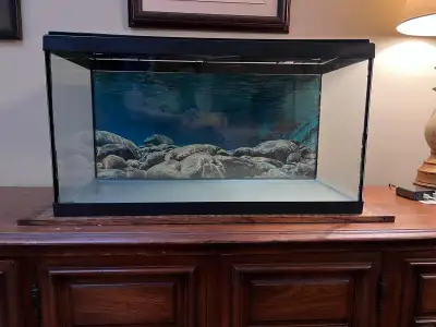 Aquarium 25 Gallon Complete, View more