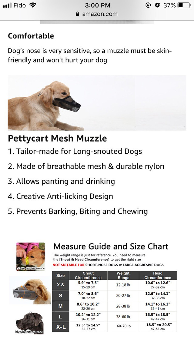Mesh dog Muzzle in Accessories in Windsor Region - Image 4