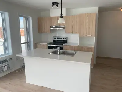logement 4 1/2 à louer à st jerome