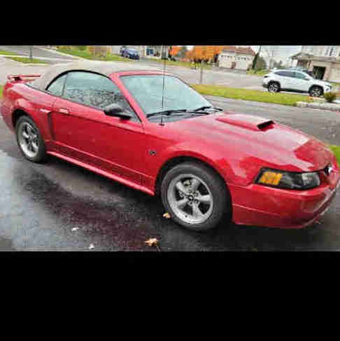Mustang Convertible GT in Cars & Trucks in Kawartha Lakes