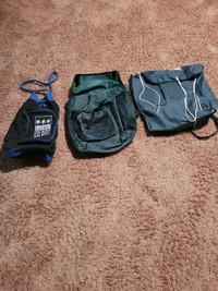 Backpacks/ carry bags