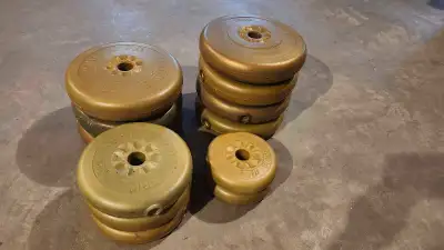 York Barbell weights, View more