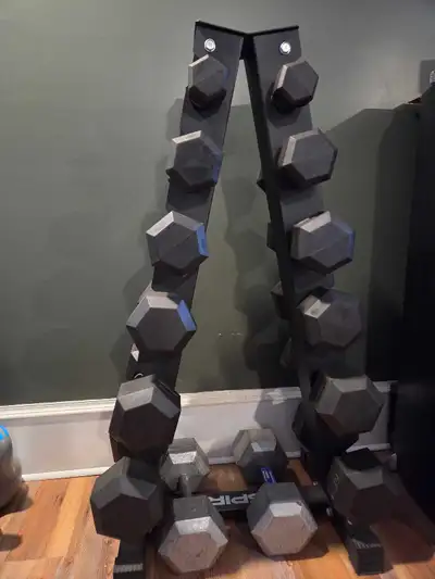 Dumbbell set with stand, View more