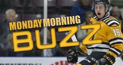 West End Carp Dunrobin Kinburn Hockey is looking for players!, View more