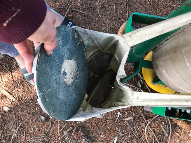 Lagler trio 3 disk Floor Sander in Power Tools in Delta/Surrey/Langley - Image 5